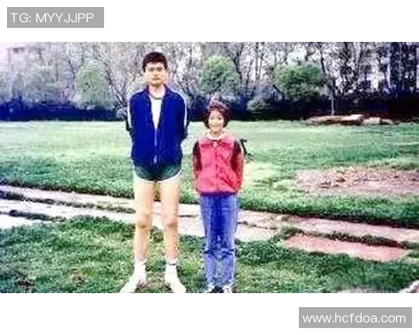 赵文卓与姚明的友谊之路：从武术到篮球的跨界合作与人生启示